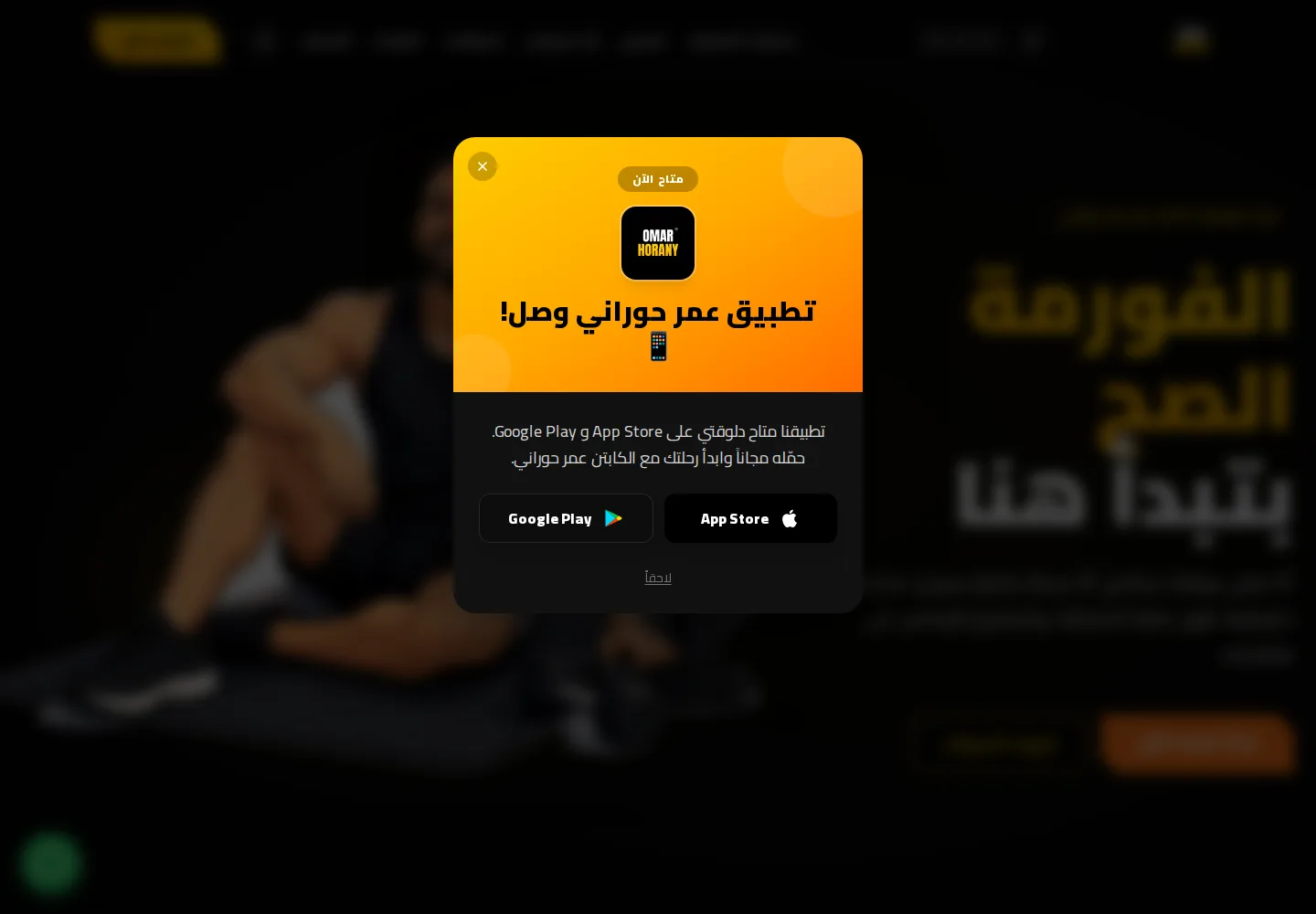 Omar Horany: شاشة الكمبيوتر